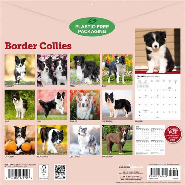 Border Collies Calendar 2027, Wall Calendars, Month To View, Dogs, Gift