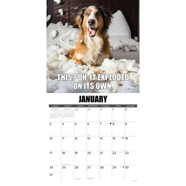 Dog Gone It Calendar 2027, Wall Calendars, Month To View, Dogs, Gift