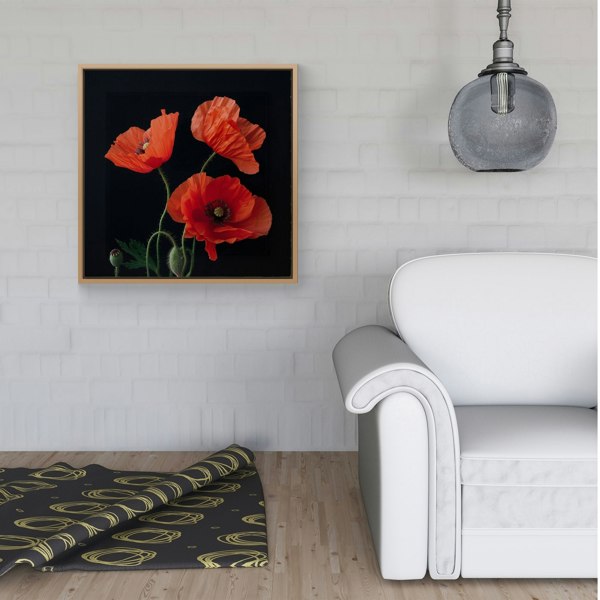 Warren Reed Poppies Framed Canvas