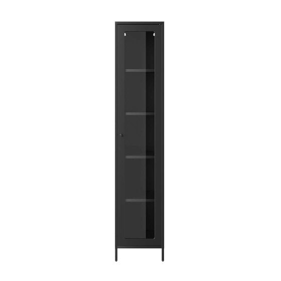 Wyld Haus Frank Black Steel Cabinet Glass Door 4 Shelves