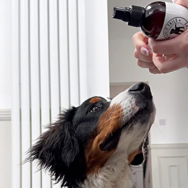 HugglePets Bubbly Tails Dog Cologne