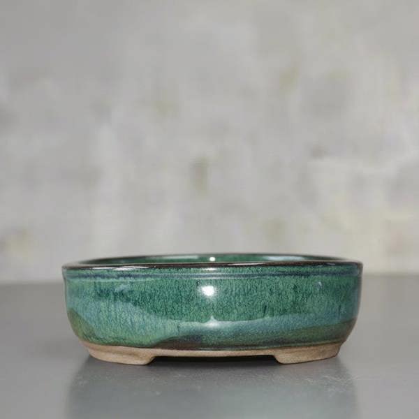 16cm Glazed Bonsai Pot | Oval | 16cm x 12cm x 3cm | Green - Yorkshire Bonsai