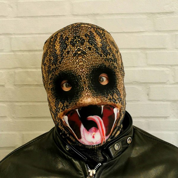 Faceskinz - Fabric Mask - Halloween Ideas