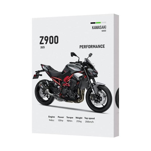 Benjamin Tate Design Kawasaki Z900 Performance Canvas Art Print With Deep Wooden Frame