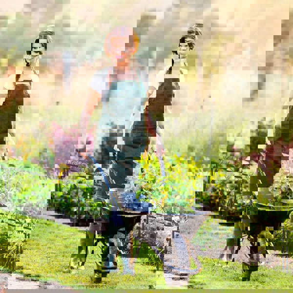 Garden Fence