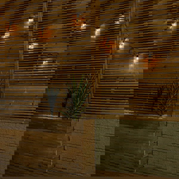 Samuel Alexander Set of 10 Indoor Outdoor Connectable Festoon Lights with Warm White LEDs