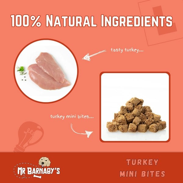 Mr Barnaby's Turkey Mini Bites