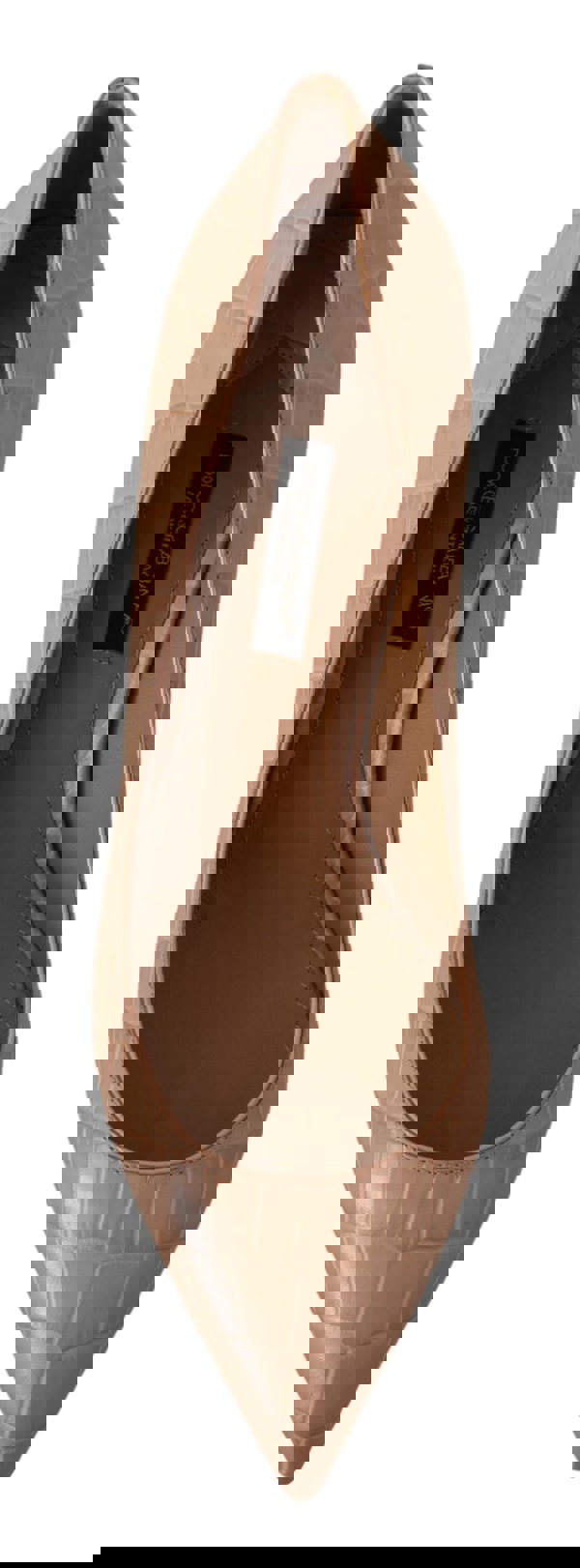 155194857.jpg