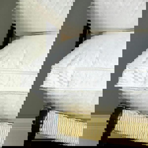 Soak&Sleep 100% Canadian Goose Down Pillows