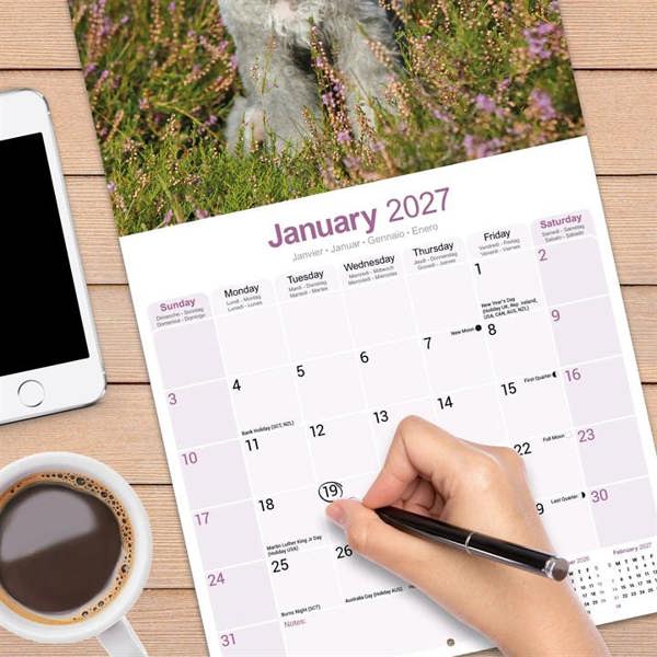 Bedlington Terrier Calendar 2027, Wall Calendars, Month To View, Dogs, Gift