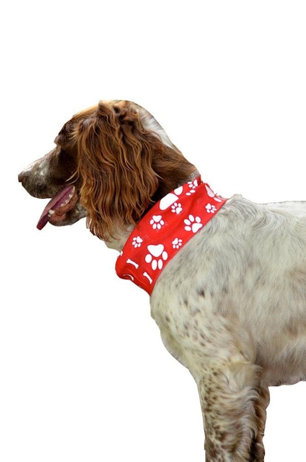 RUFFNEK® Reflective Dog Scarf Snood (Red) – keep your pet safe and visible during UK walks. #ReflectiveDogGear #UKPetAccessories #DogSafety #DogSnood #DogBandana
