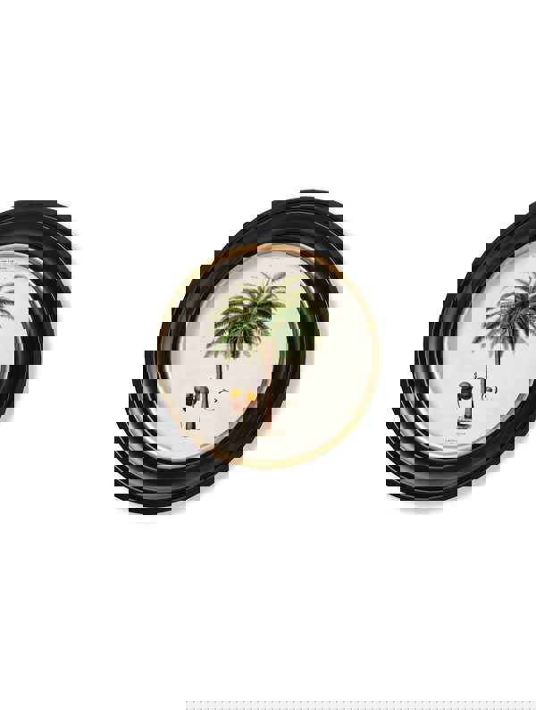 Exceptional Art c.1843 Studies of South American Palm Trees in Round Frames