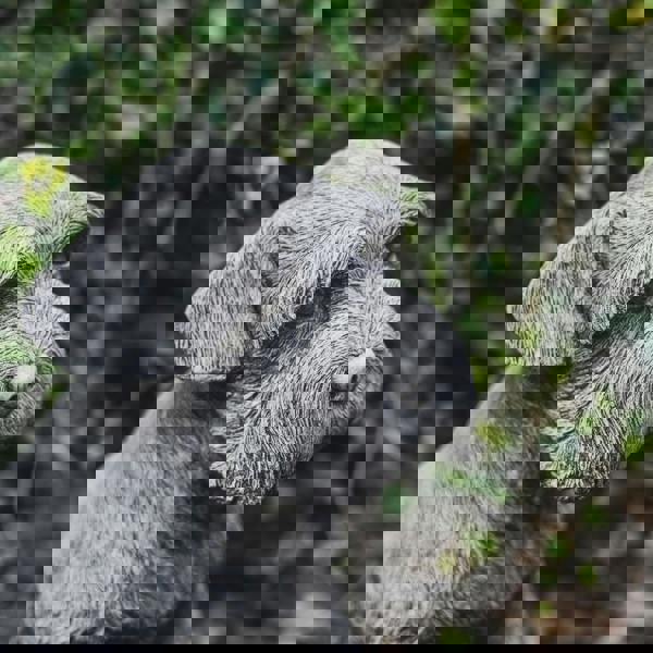 Large Schnauzer Stone Dog garden ornament