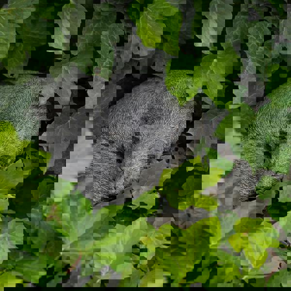 Stone Cast Sleeping Cat Ornament