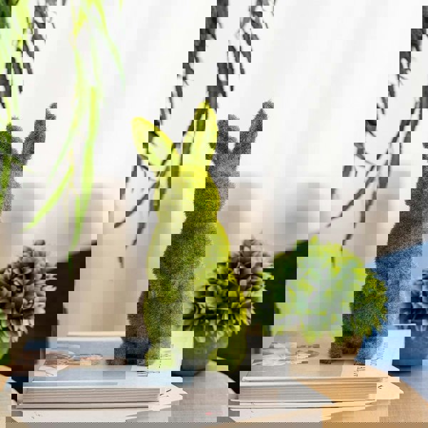 Moss Standing Bunny Rabbit Easter Garden Home Decoration Living and Home