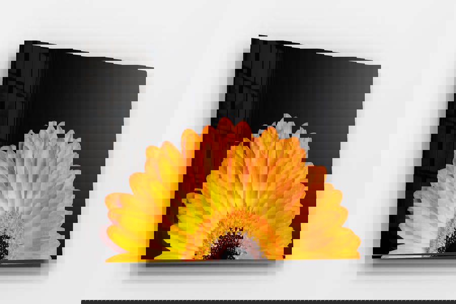 orange flower photograph printed on glass acrylic