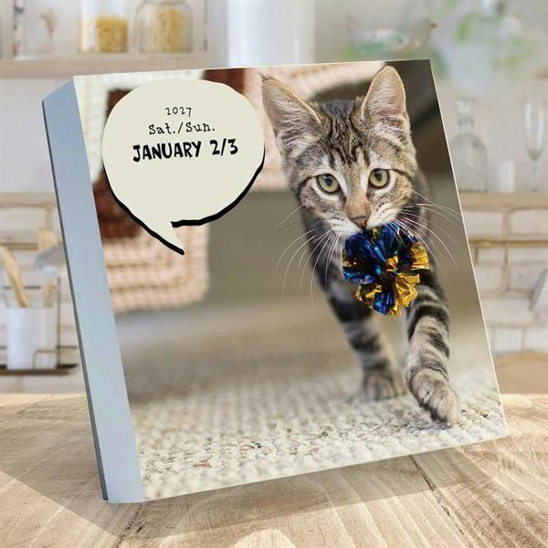 Cat A Day Desk Calendar 2027, Desk Calendars, Day To View, Cats, Gift