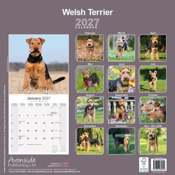 Welsh Terrier Calendar 2027, Wall Calendars, Month To View, Dogs, Gift