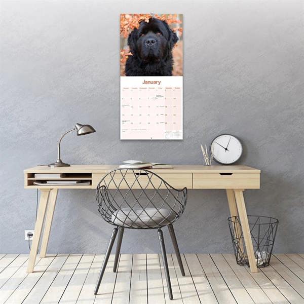 Newfoundland Calendar 2027, Wall Calendars, Month To View, Dogs, Gift