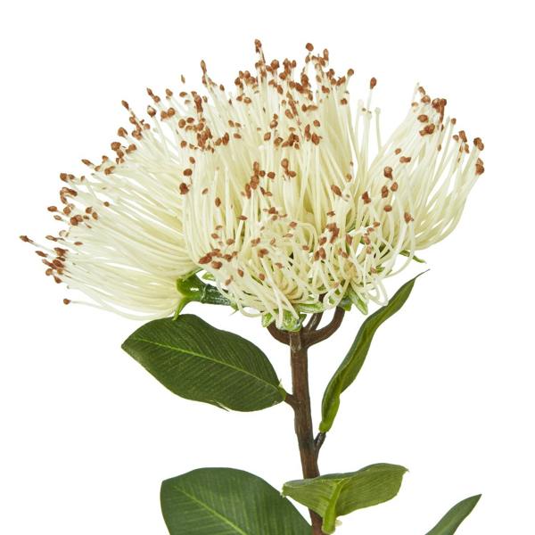 Wyld Haus Set of 3 Artificial Flowers Cream Protea Nitida Stems