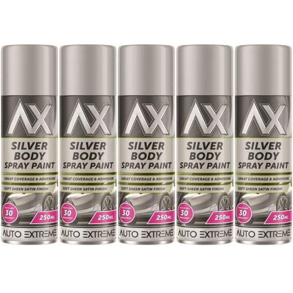 Auto Extreme 5X Auto Extreme Paint Silver Spray Paint 250ml