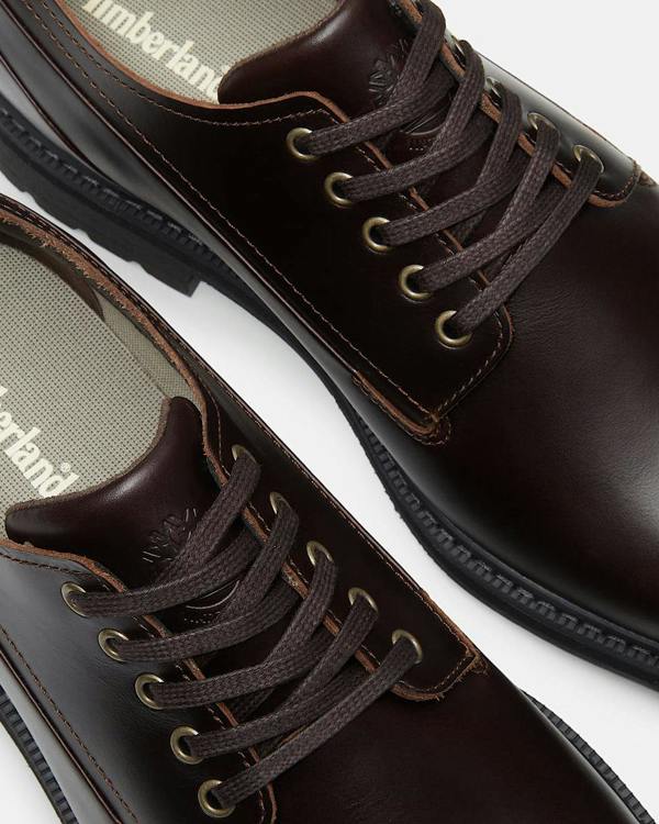Timberland Stormbucks Mens Full Grain Leather Lace Up Waterproof Shoe - Dark Brown | CHO | Designer Mens Waterproof Shoes