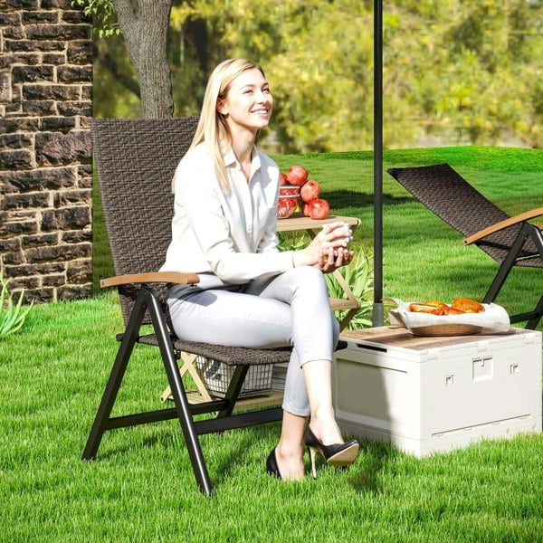 Rattan Dining chairs