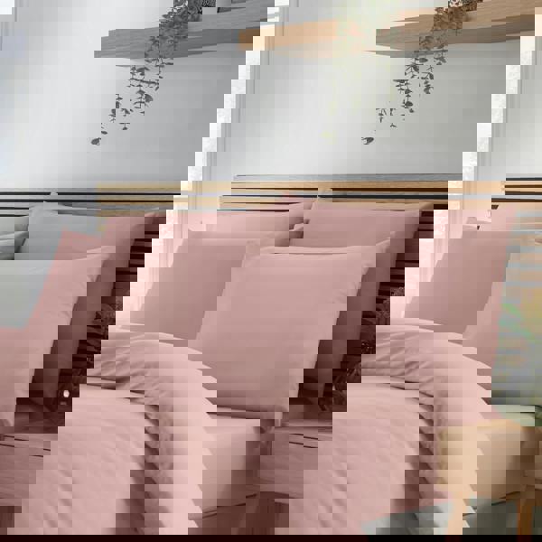 Catherine Lansfield So Soft Non-Iron Standard Pack of 4 Pillowcases Blush Pink