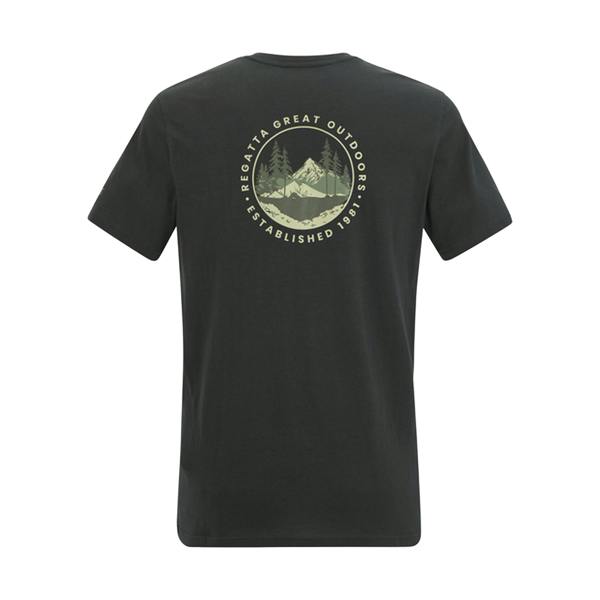 Regatta Mens Breezed Circle Mountain T-Shirt - Ash - 