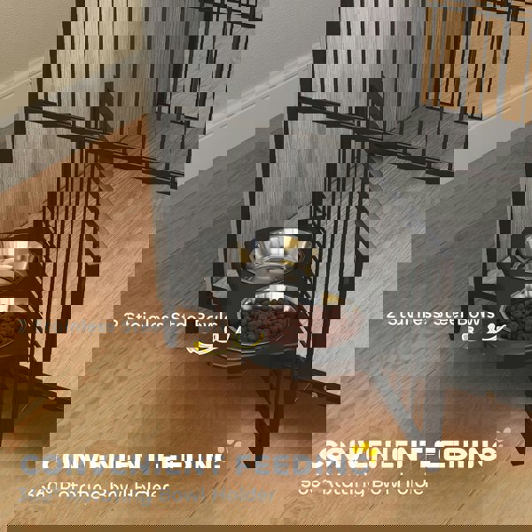 D02-233V00GY