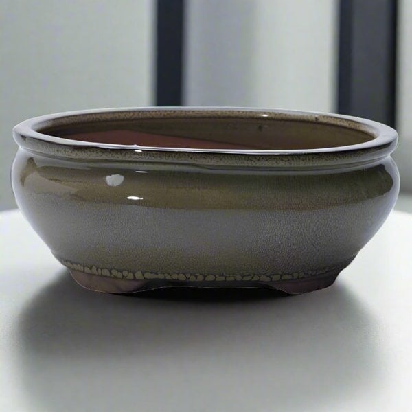 Yorkshire Bonsai 20cm Glazed Bonsai Pot | Oval | 20cm x 16cm x 6cm | Green