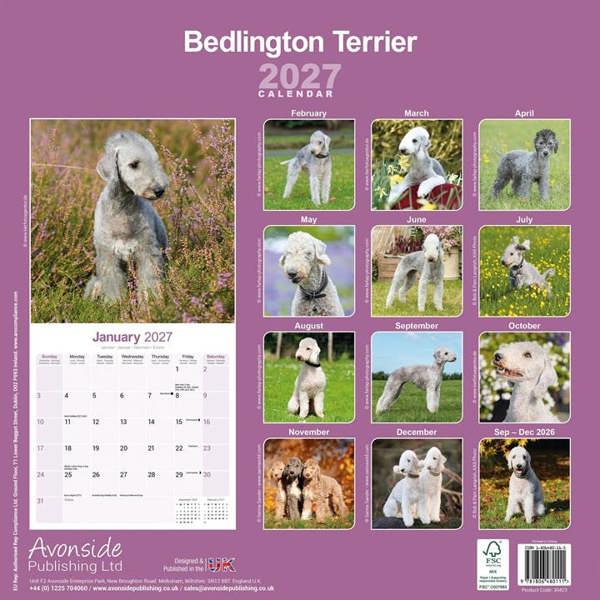 Bedlington Terrier Calendar 2027, Wall Calendars, Month To View, Dogs, Gift