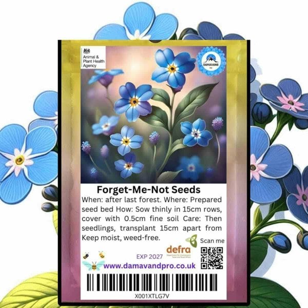 Forget me not Funeral Seed Packets