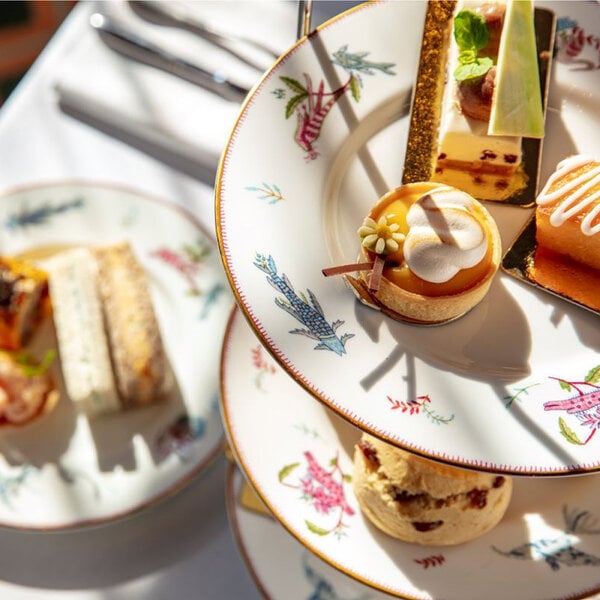 Port Lympne Reserve Visit, Truck Safari and Afternoon Tea for Two