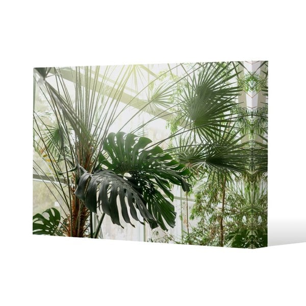 Benjamin Tate Design Green plants in botanical garde Slim Style Canvas Print  90x120cm , 15mm Slim Real wood.