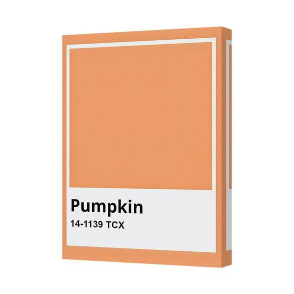 Benjamin Tate Design Pumpkin Canvas Art Print 14-1139 TCX Contemporary Wall Decor