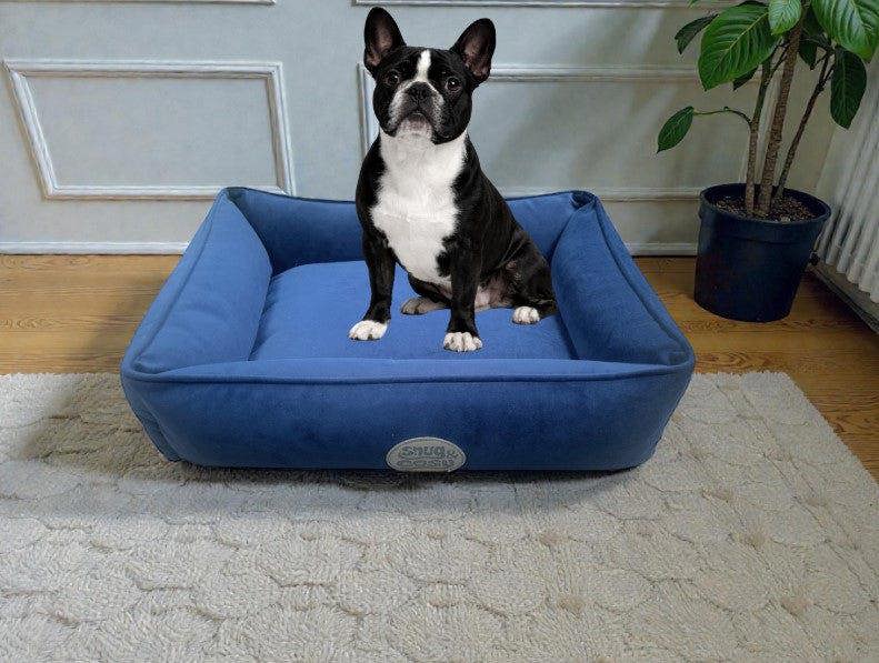 Charlie Dog Pet Bed Removable Cover Hollowfibre Filling - Dog Bed for dogs Snug and Cosy Pets