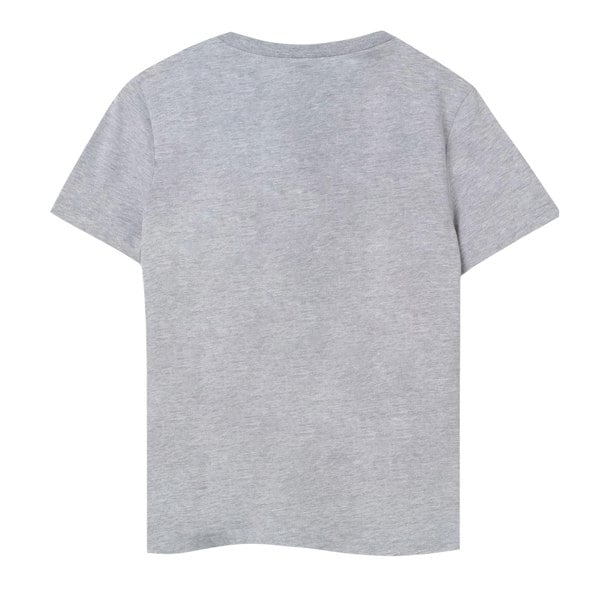 Paw Patrol Boys Chase T-Shirt - Grey Marl