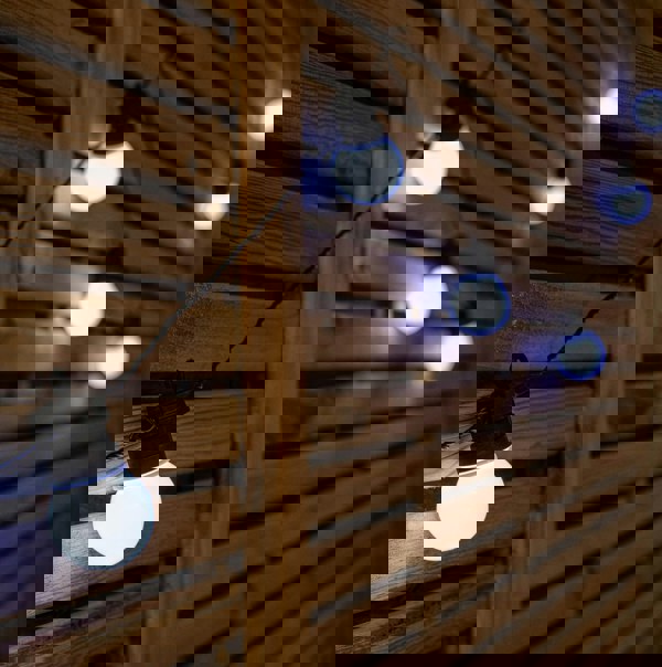 Samuel Alexander Set of 10 Indoor Outdoor Connectable Party Festoon Lights with Cool White LEDs