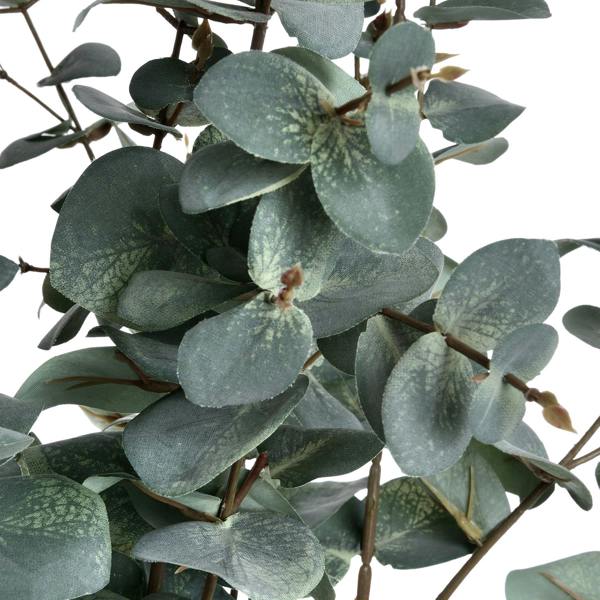 Wyld Haus Set of 3 Artificial Flowers Variegated Eucalyptus Stems