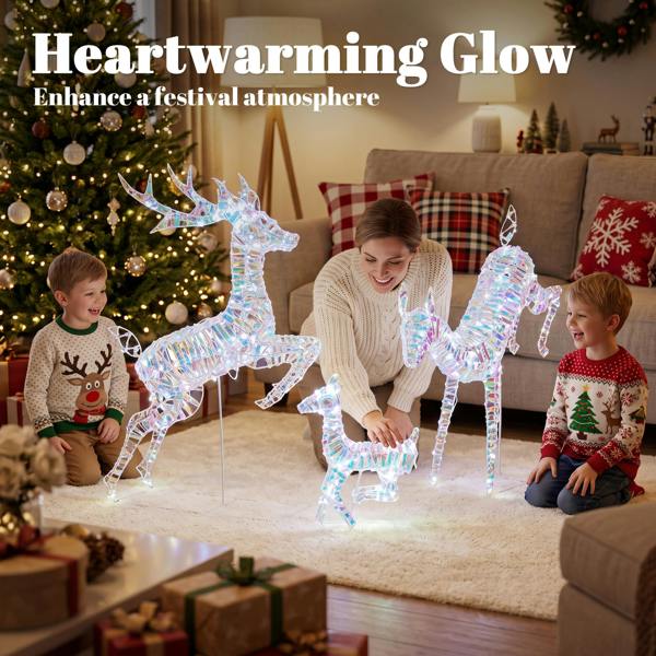Lighted Christmas Decoration