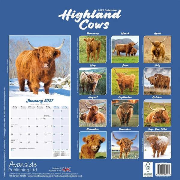 Highland Cows Calendar 2027, Wall Calendars, Month To View, Animals, Gift