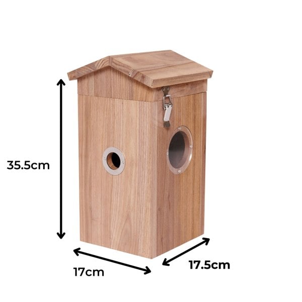 Callow Retail Walnut smart bird house and Camera with Solar Panel