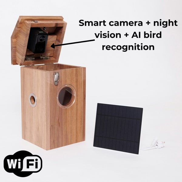 Callow Retail Walnut smart bird house and Camera with Solar Panel