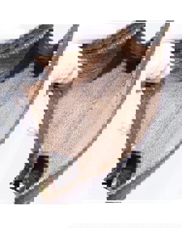 188343147.jpg