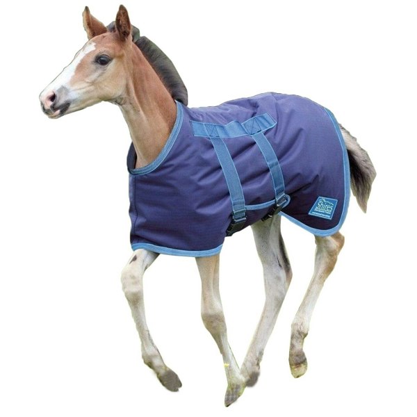 Shires Tempest Original Foal Turnout Rug - Navy/Turquoise