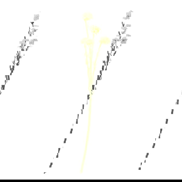 Hill Interiors Statice Artificial Flower Spray - Cream