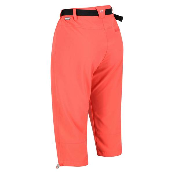 Regatta Womens/Ladies Xert Stretch Casual Shorts - Neon Peach - 