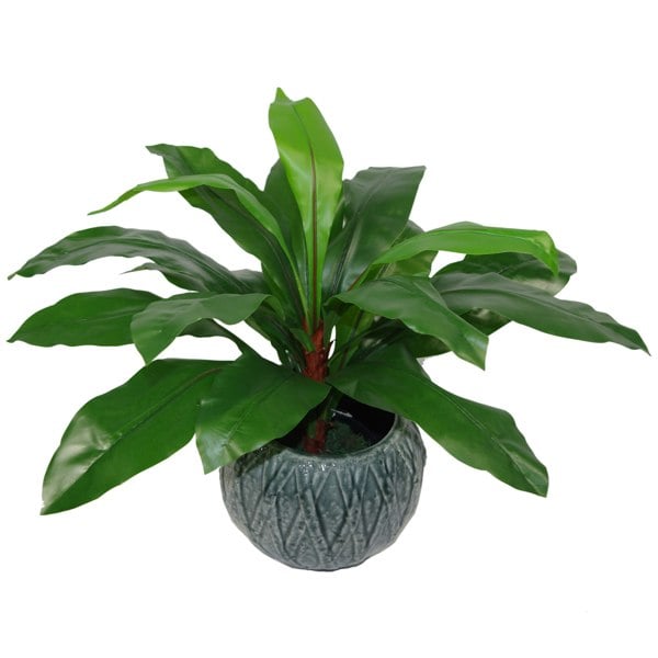 Leaf 60cm Bushy Large Artificial Bird's Nest Fern Plant