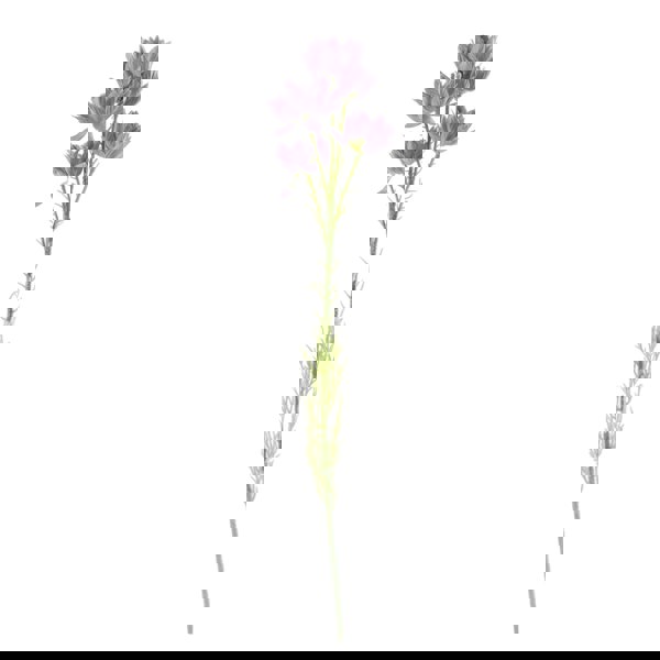 Leaf 60cm White Rose Purple Starflower Display Glass Vase